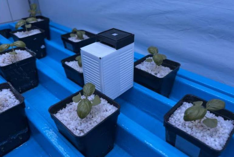 NEX environmental sensor placed among basil plants